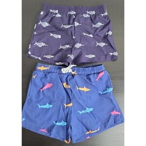 Pair of 3T swim trunks